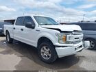 2019 Ford F-150 Xl White vin: 1FTEW1C57KKD02555
