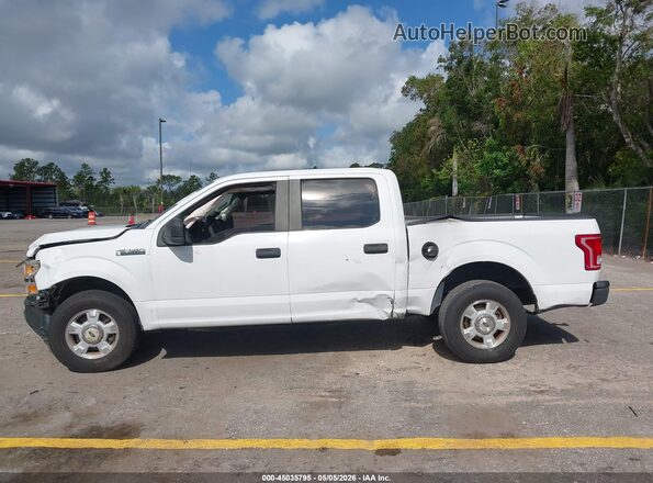 1FTEW1C83GKF41473 2016 FORD F150 Белый Вид задней части салона