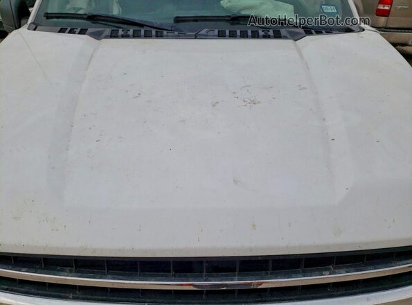 1FTEW1CBXLFA34522 2020 FORD F150 White Սալոնի հետևի տեսք