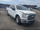 2016 Ford F-150 Xlt White vin: 1FTEW1CF1GFB02408