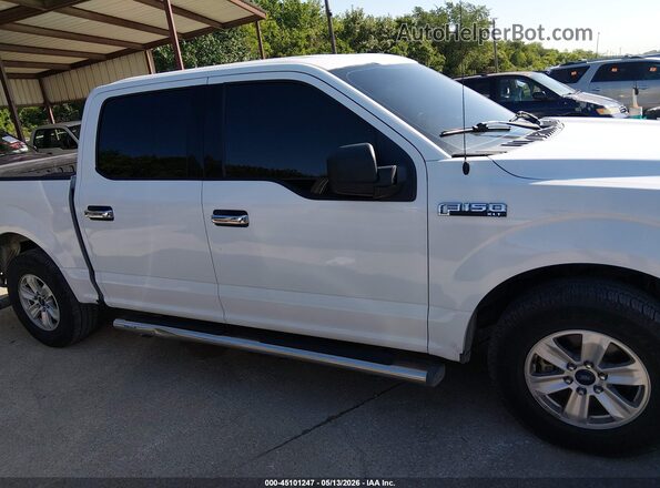 1FTEW1CF4HKE24985 2017 FORD F150 White Vista interior trasera