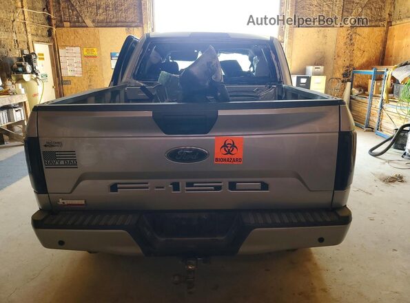 1FTEW1CP0LFC66056 2020 FORD F150 Silver Вид ззаду