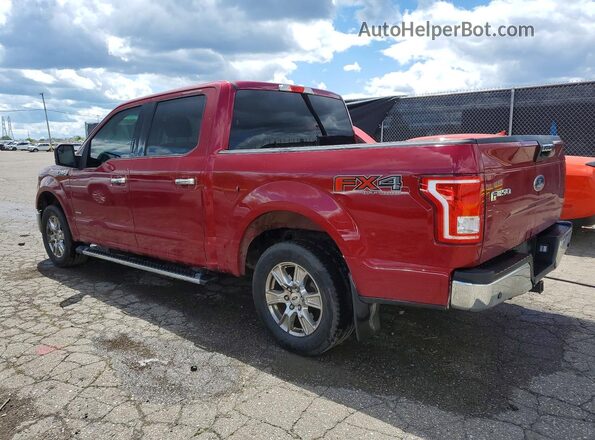 1FTEW1CP4HFB06236 2017 FORD F150 Красный Задняя левая четверть