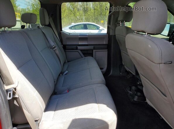 1FTEW1CP4HFB06236 2017 FORD F150 Красный Вид задних сидений