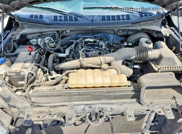 1FTEW1CP6LFC04435 2020 FORD F150 Серый Вид задней части салона