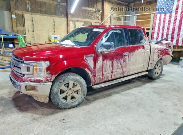 1FTEW1E41LKD32365 2020 FORD F150 Red Przód lewy