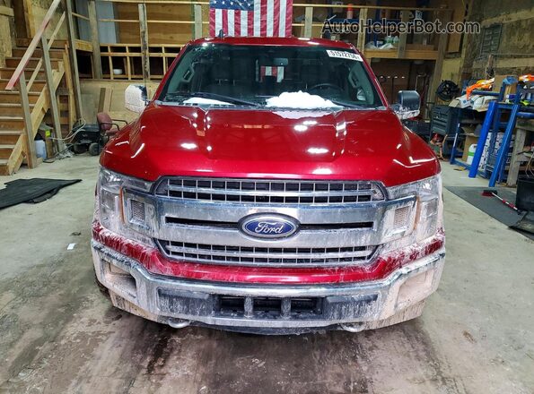 1FTEW1E41LKD32365 2020 FORD F150 Red Widok z przodu