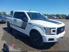 2019 Ford F-150 Xlt White vin: 1FTEW1E48KFD28790
