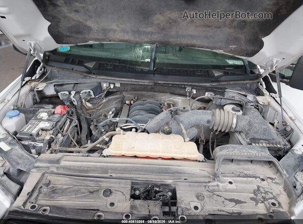1FTEW1E53JFD05103 2018 FORD F150 White Widok z tyłu