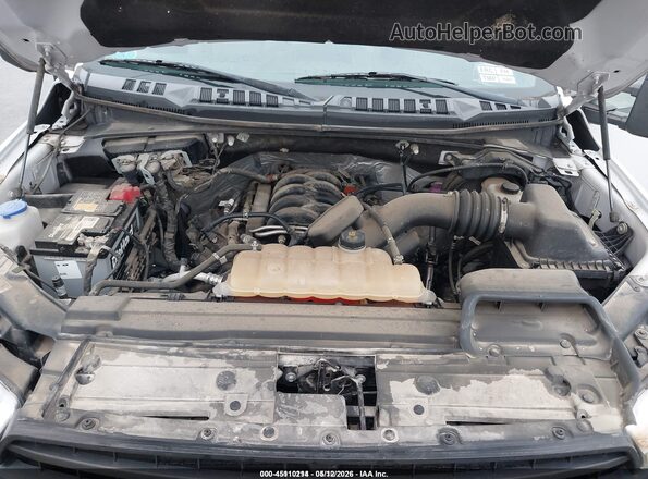 1FTEW1E59JFD05106 2018 FORD F150 White Widok z tyłu