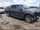 2019 Ford F-150 Xlt Gray vin: 1FTEW1E59KKE20104