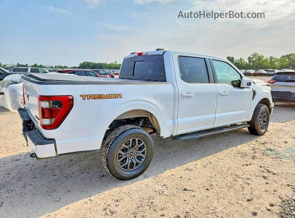 1FTEW1E80NFB31331 2022 FORD F150 White წინა ხედი