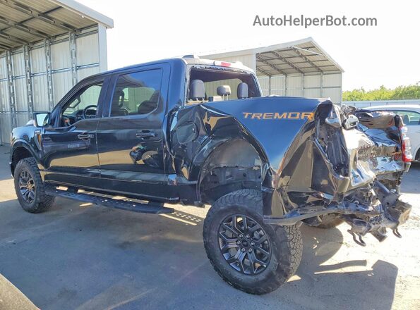 1FTEW1E89NFB41436 2022 FORD F150 Black Задня ліва чверть