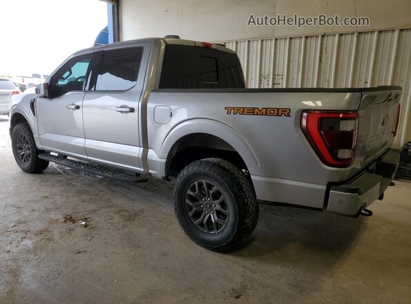 1FTEW1E8XNFA48134 2022 FORD F150 Silver უკანა მარცხენა
