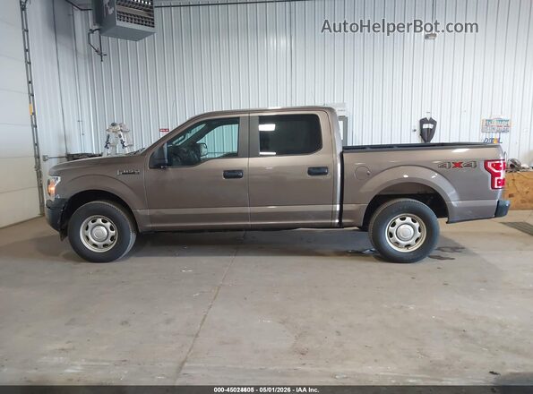1FTEW1EB0LKF20891 2020 FORD F150 Коричневый Панорамный вид салона 360°