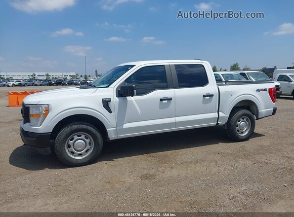 1FTEW1EB5MFB64870 2021 FORD F150 Белый Панорамный вид салона 360°