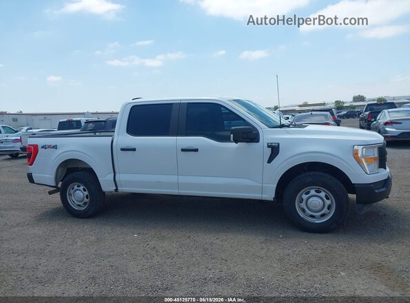 1FTEW1EB5MFB64870 2021 FORD F150 Белый Вид задней части салона