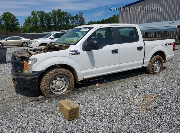 1FTEW1EB8KFC57086 2019 FORD F150 Белый Передняя левая четверть