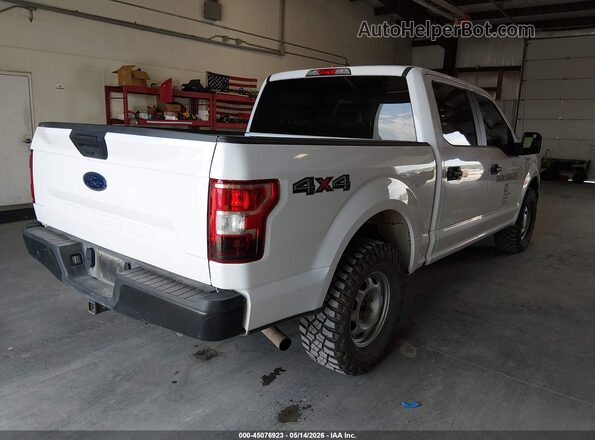 1FTEW1EB8LKE82021 2020 FORD F150 Белый Задняя правая четверть