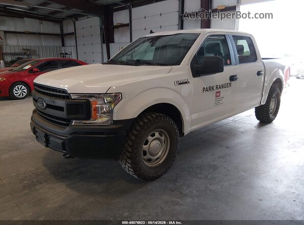 1FTEW1EB8LKE82021 2020 FORD F150 Белый Передняя левая четверть
