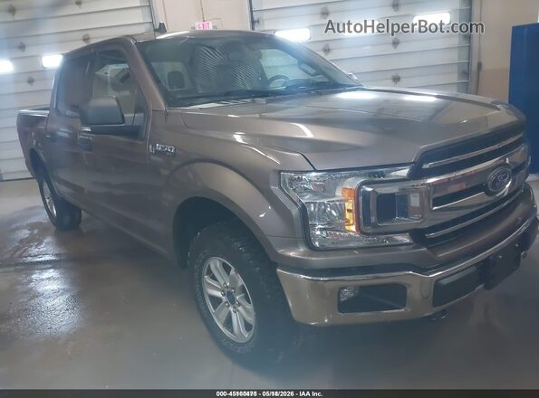 1FTEW1EBXKKD65569 2019 FORD F150 Brown Delantero derecho