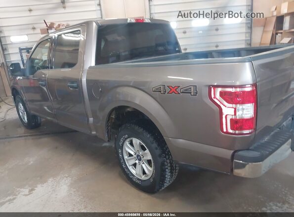 1FTEW1EBXKKD65569 2019 FORD F150 Brown Trasero izquierdo