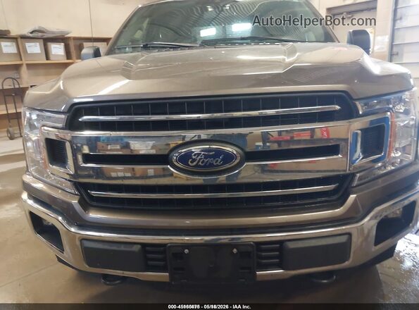 1FTEW1EBXKKD65569 2019 FORD F150 Brown Vista frontal
