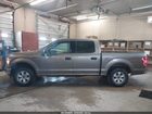 2019 Ford F-150 Xlt Brown vin: 1FTEW1EBXKKD65569