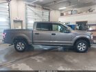 2019 Ford F-150 Xlt Brown vin: 1FTEW1EBXKKD65569