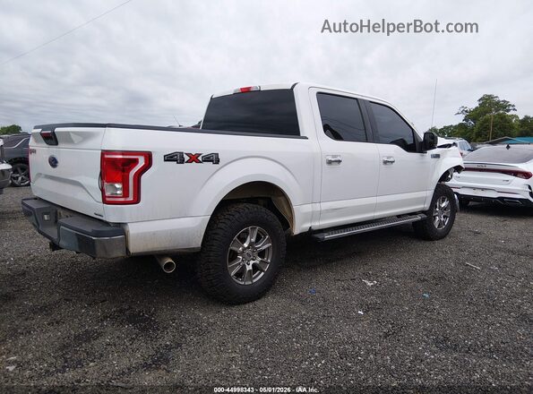 1FTEW1EF4GFB50417 2016 FORD F150 Белый Задняя правая четверть