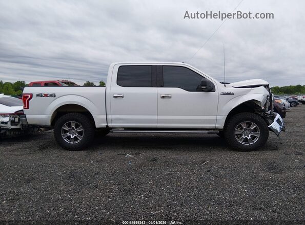 1FTEW1EF4GFB50417 2016 FORD F150 Белый Вид задней части салона