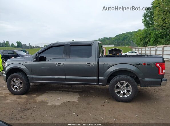 1FTEW1EF4HFA07159 2017 FORD F150 Серый Панорамный вид салона 360°