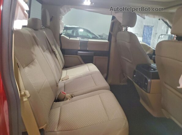 1FTEW1EFXHFC39250 2017 FORD F150 Красный Вид задних сидений