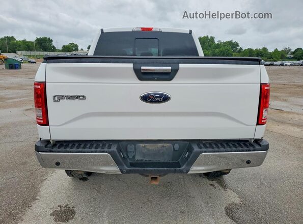 1FTEW1EG5GFD39523 2016 FORD F150 White უკანა ხედი