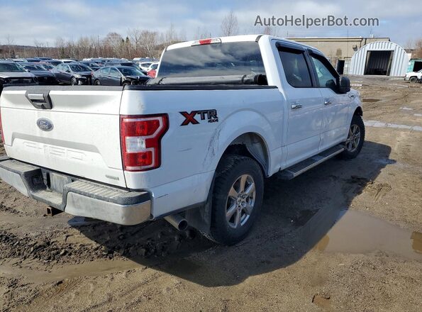 1FTEW1EP0KKD01309 2019 FORD F150 Белый Задняя правая четверть