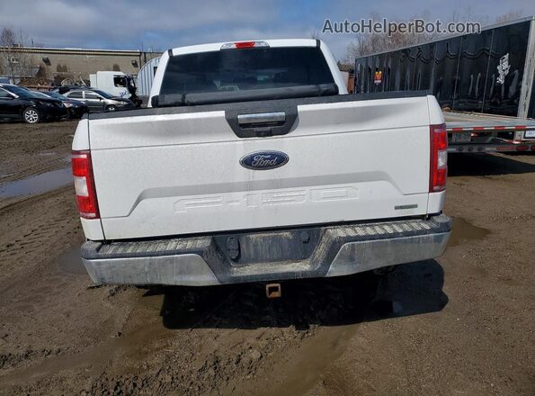 1FTEW1EP0KKD01309 2019 FORD F150 Белый Вид сзади