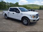 2019 Ford F-150 Xlt White vin: 1FTEW1EP2KFC38514