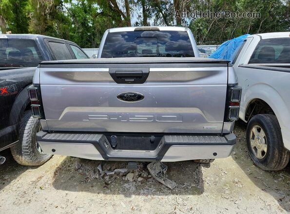1FTEW1EP2LFB91437 2020 FORD F150 Gray Widok z tyłu
