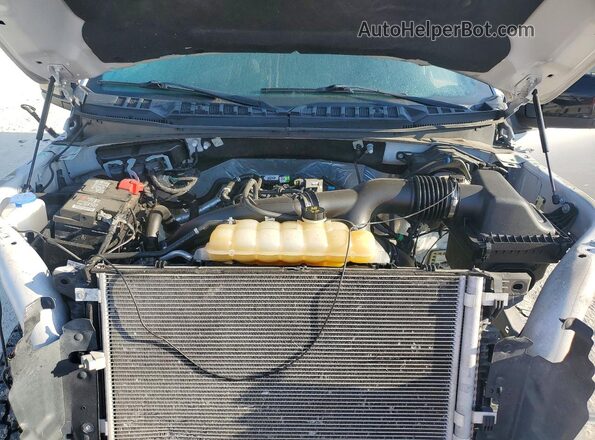 1FTEW1EP2LFB91437 2020 FORD F150 Gray Widok wnętrza z tyłu