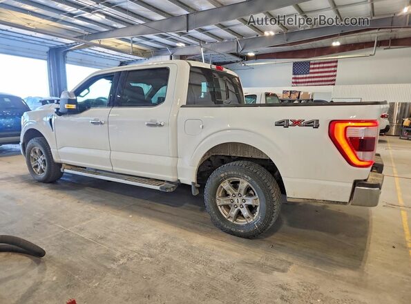 1FTEW1EP2PKF93410 2023 FORD F150 White Հետևի ձախ