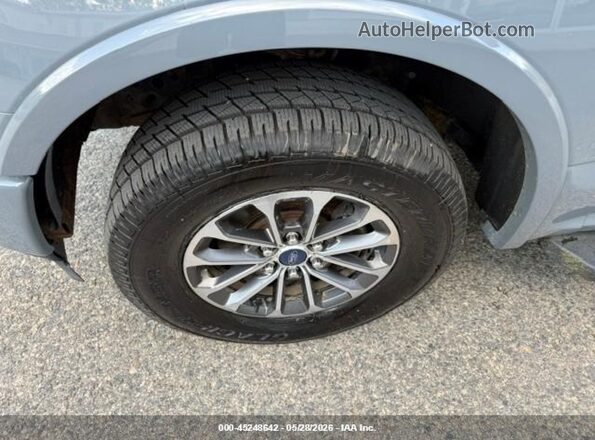 1FTEW1EP4KFA25998 2019 FORD F150 Light Blue Вид сзади