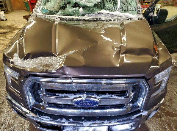 1FTEW1EP6GFB05813 2016 FORD F150 Brown Вид задньої частини салону