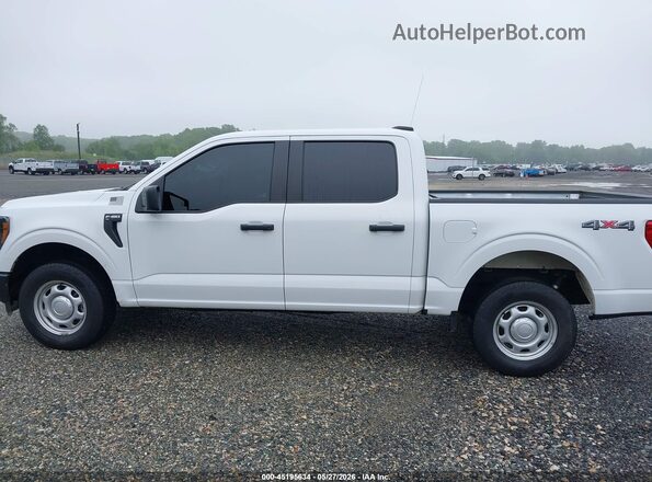 1FTEW1EP7PKF10053 2023 FORD F150 Белый 