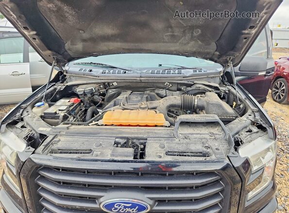 1FTEW1EP8GKE34052 2016 FORD F150 Черный Вид задней части салона