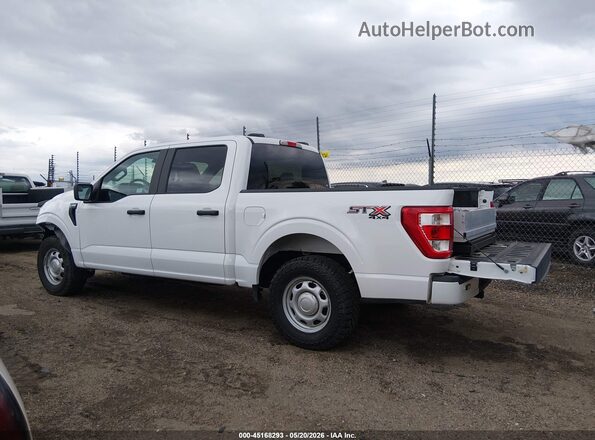 1FTEW1EP8MKE95803 2021 FORD F150 White Widok wnętrza 360 stopni