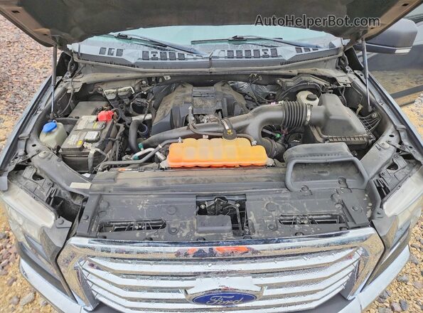 1FTEW1EPXHKC43783 2017 FORD F150 Серый Вид задней части салона
