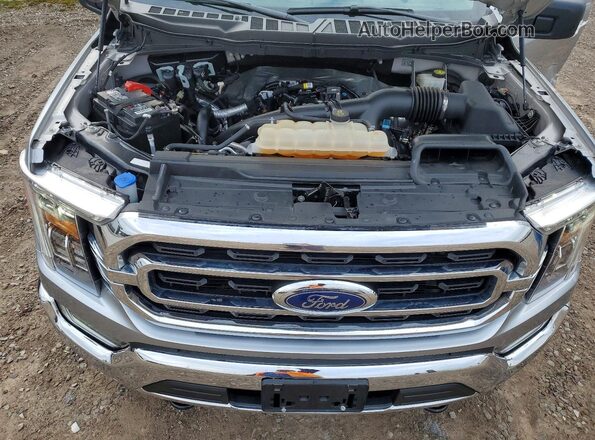 1FTEW1EPXPKE67456 2023 FORD F150 Серебряный Вид задней части салона