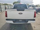 2025 Ford F150 Stx Белый vin: 1FTEW2KP7SKF60325 2025 Ford F150 Stx Белый vin: 1FTEW2KP7SKF60325