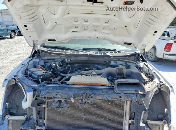1FTEW2KP8RKD58443 2024 FORD F150 Белый Вид задней части салона