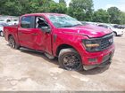 2024 Ford F-150 Stx Red vin: 1FTEW2KPXRKF37924